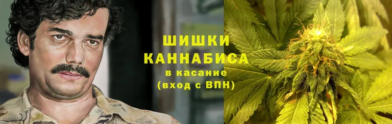 Бошки марихуана Ganja  купить закладку  Змеиногорск 